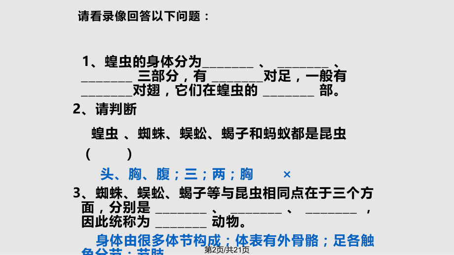 生物空中飞行的动物人教八年级上.pptx_第2页