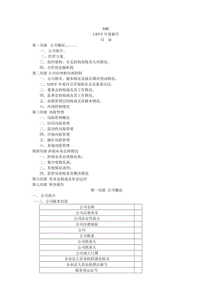 融资性担保公司年度报告DOC.doc