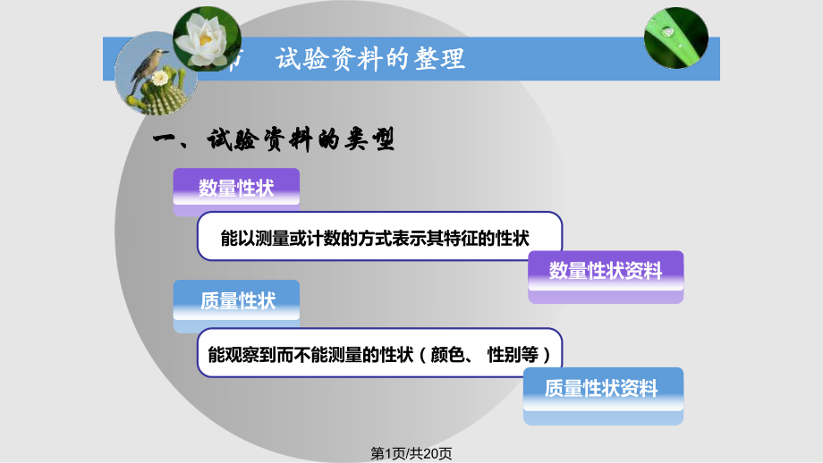 生物统计学试验资料的整理和特征数的计算.pptx_第1页