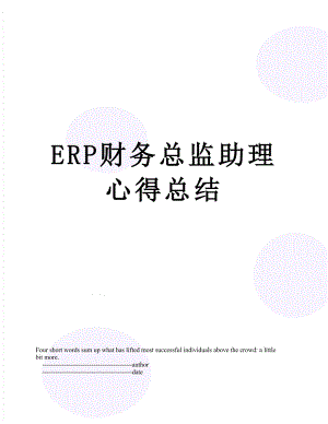 最新ERP财务总监助理心得总结.doc