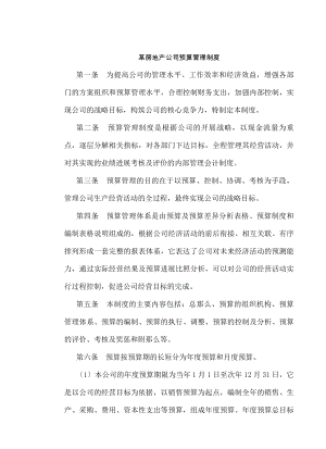 房地产制度管理某房地产公司预算管理制度.docx