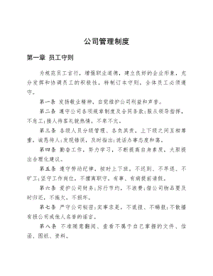 公司管理制度初稿.docx