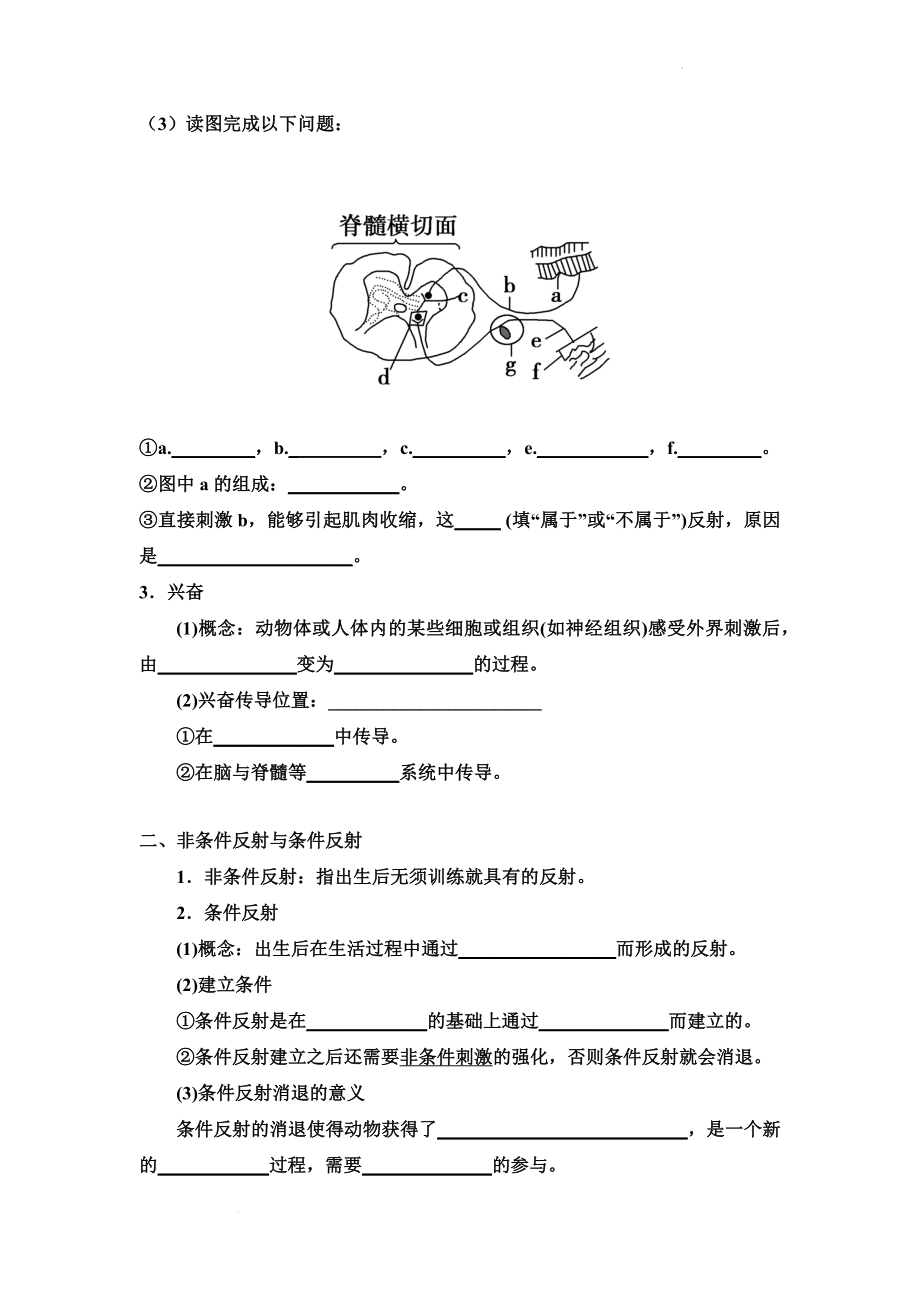 2.2神经调节的基本方式学案--高二上学期生物人教版选择性必修1.docx_第2页