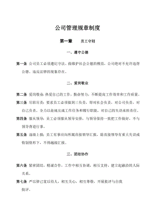 公司管理规章制度中小企业2.doc