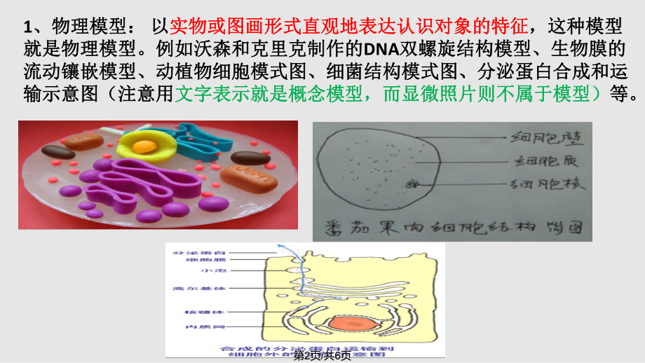 生物的模型种类.pptx_第2页