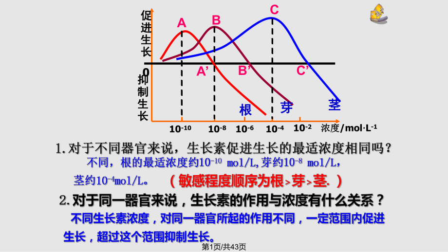 生长素的生理作用副本.pptx_第1页