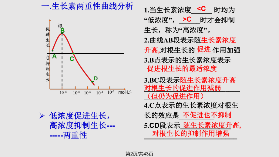 生长素的生理作用副本.pptx_第2页