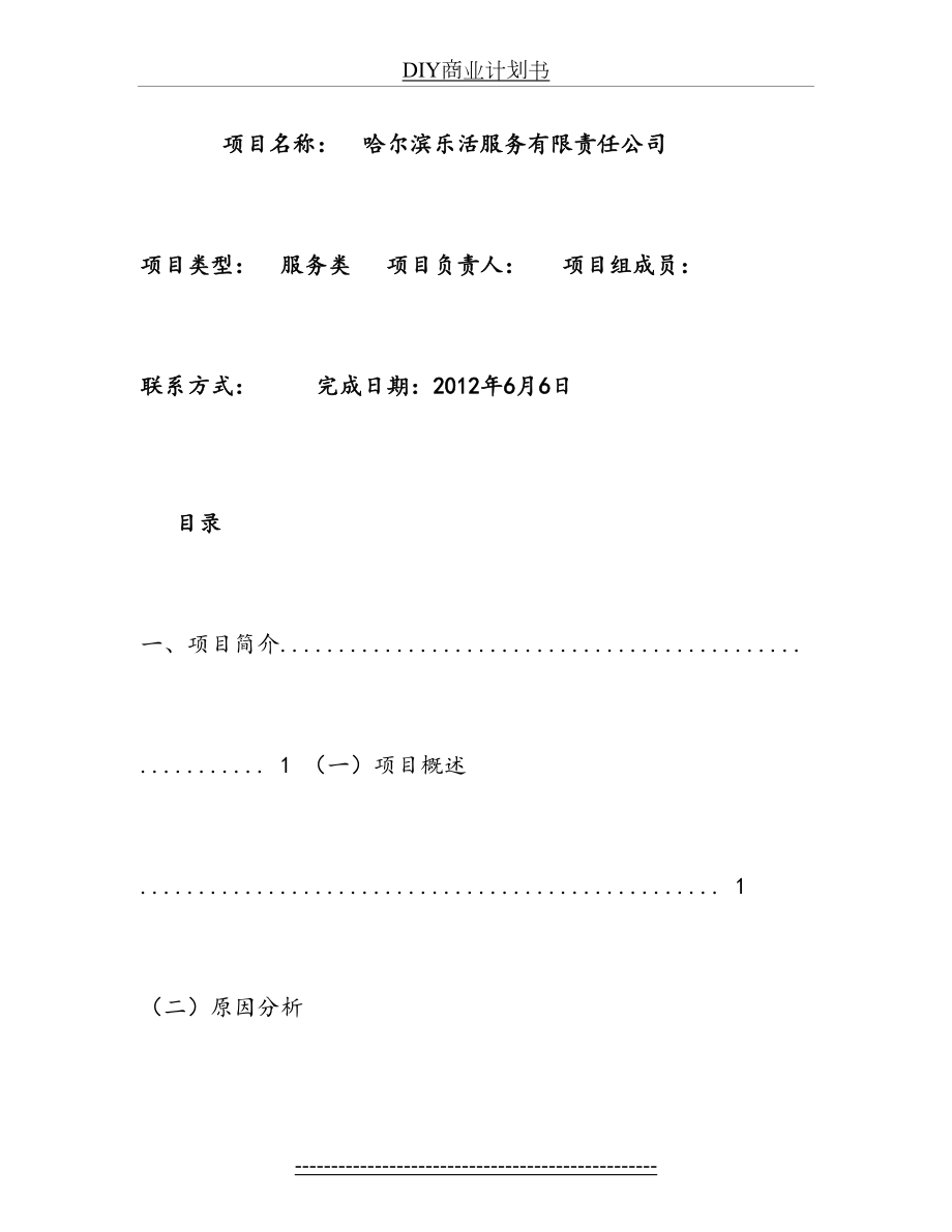 最新DIY商业计划书.doc_第2页