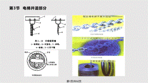 电梯原理及结构.pptx