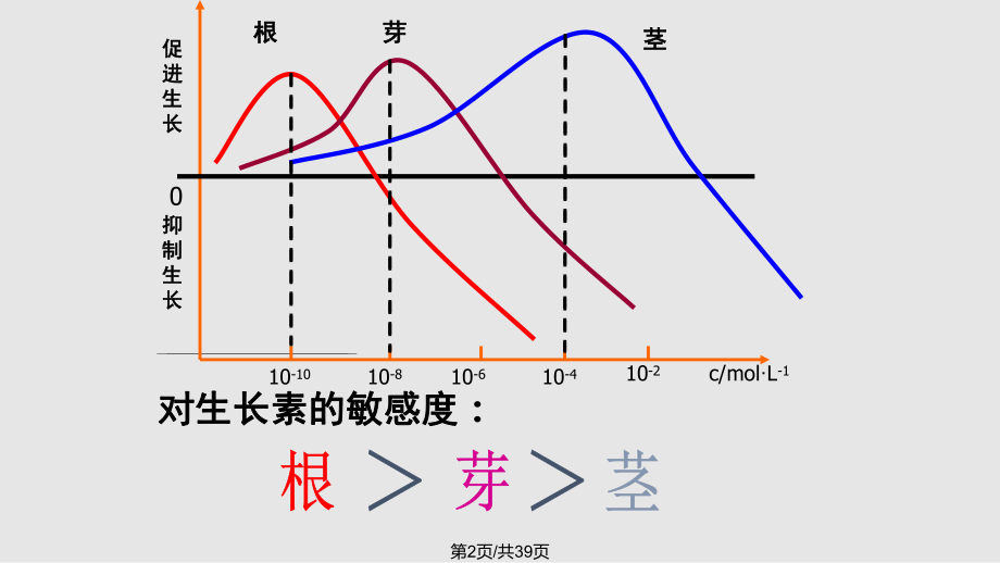 生长素的生理作用参考.pptx_第2页