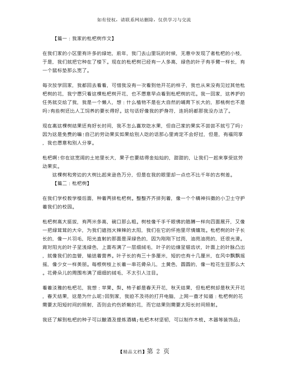 枇杷树作文500字八篇.doc_第2页