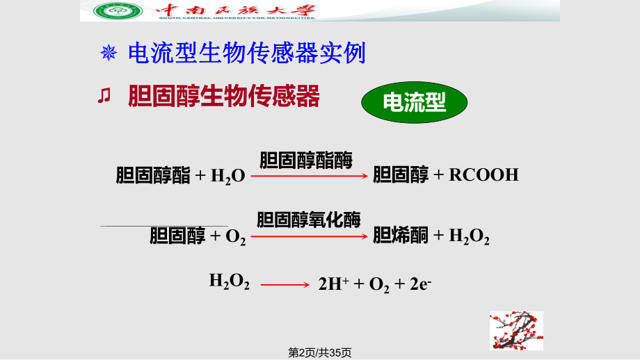 电化学传感器和生物传感器312.pptx_第2页