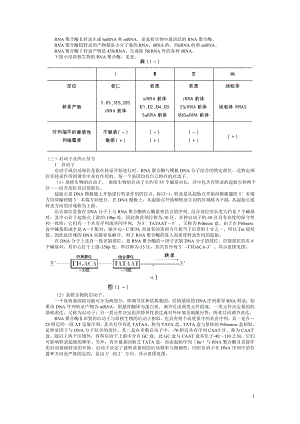 生物化学考试辅导资料2.doc