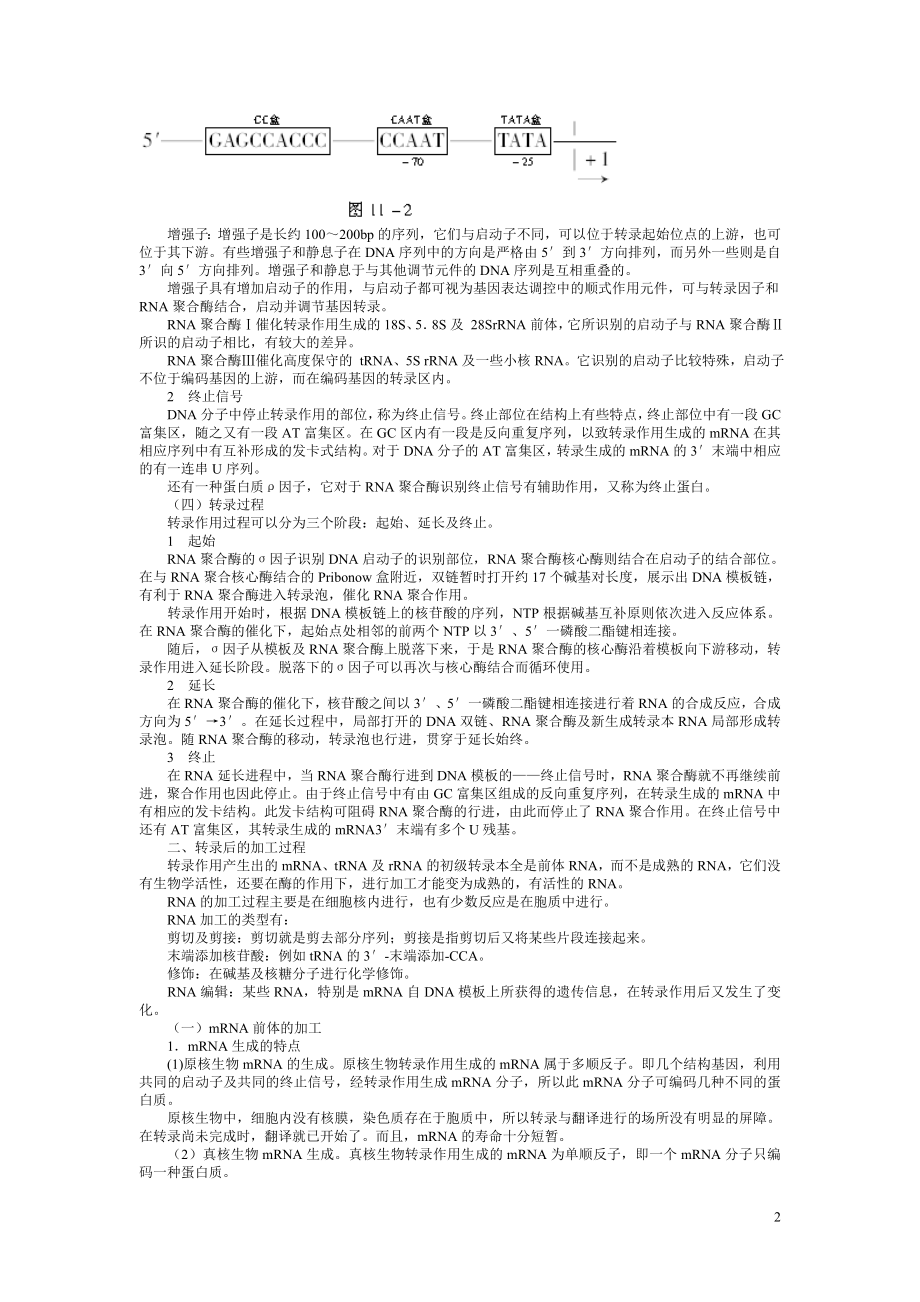 生物化学考试辅导资料2.doc_第2页