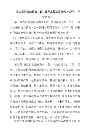 浙江省制造业首台（套）提升工程工作指南（试行）.docx