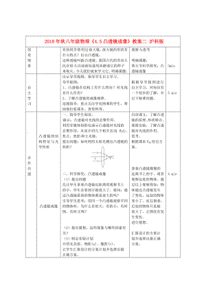 物理初二上沪科版4.5凸透镜成像教案2.doc