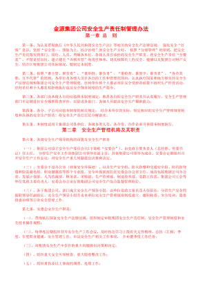 金源集团公司安全生产责任制度.docx