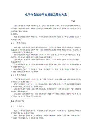 电子商务运营平台筹建及策划方案资料.doc