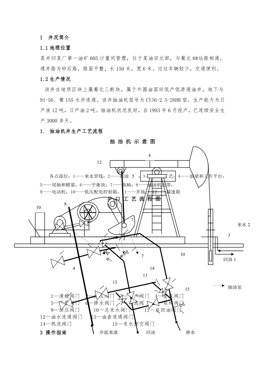 某井作业指导书.doc_第1页