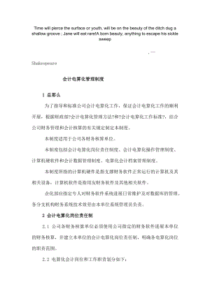 Nlvria会计电算化管理制度.docx