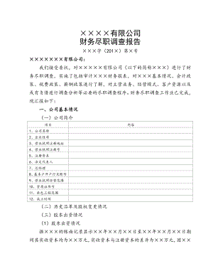 格式1财务尽职调查报告.doc