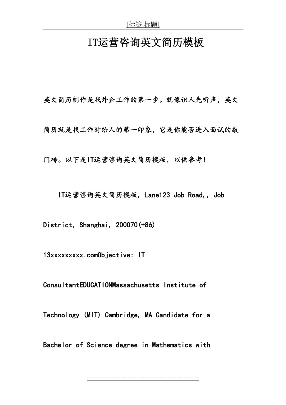 最新IT运营咨询英文简历模板.doc_第2页