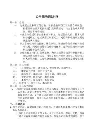 公司管理规章制度中小企业.docx