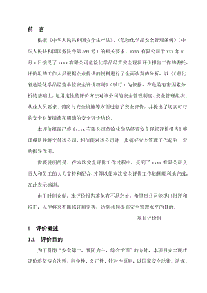 有限公司危险品经营评价报告doc.doc