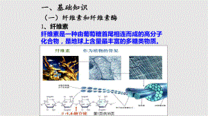 生物选修一分解纤维素的微生物的分离.pptx