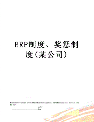 最新ERP制度、奖惩制度(某公司).doc