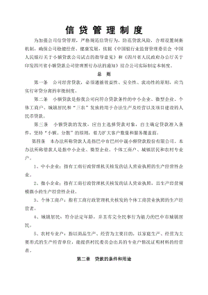 小贷公司信贷管理制度.docx