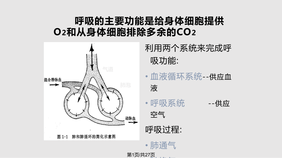 生理学讲义61学习.pptx_第1页