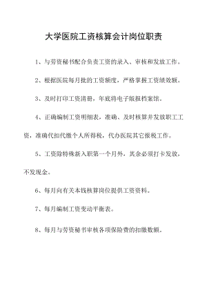 大学医院工资核算会计岗位职责.docx