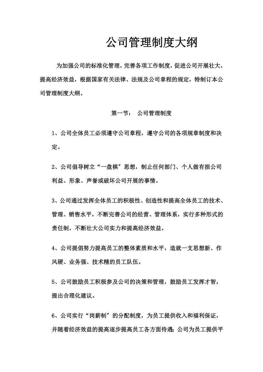 公司管理制度大纲2.doc_第1页