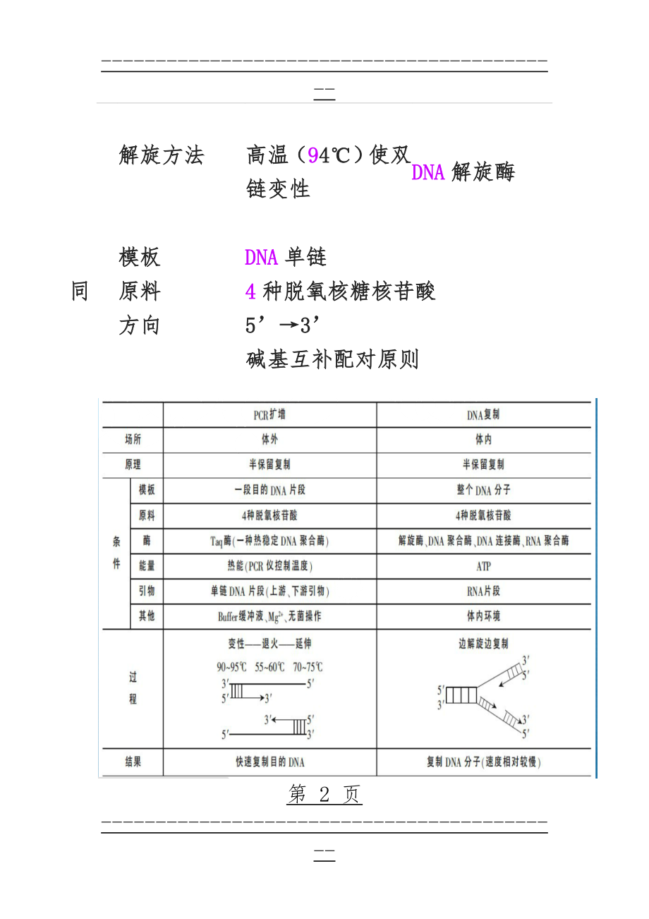 PCR和DNA复制的异同点(3页).doc_第2页