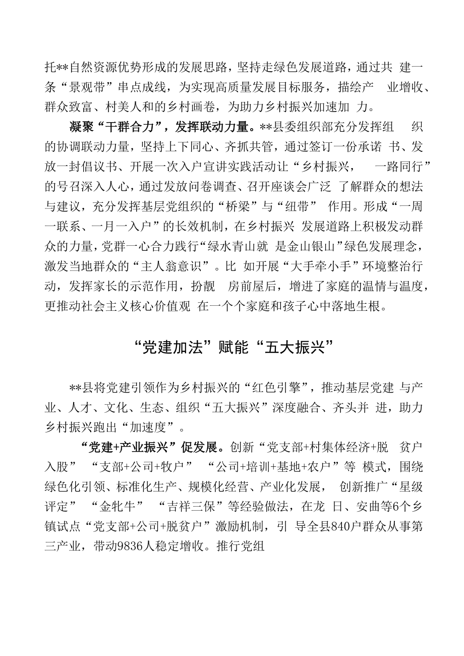 党建引领助推乡村振兴经验交流材料.docx_第2页