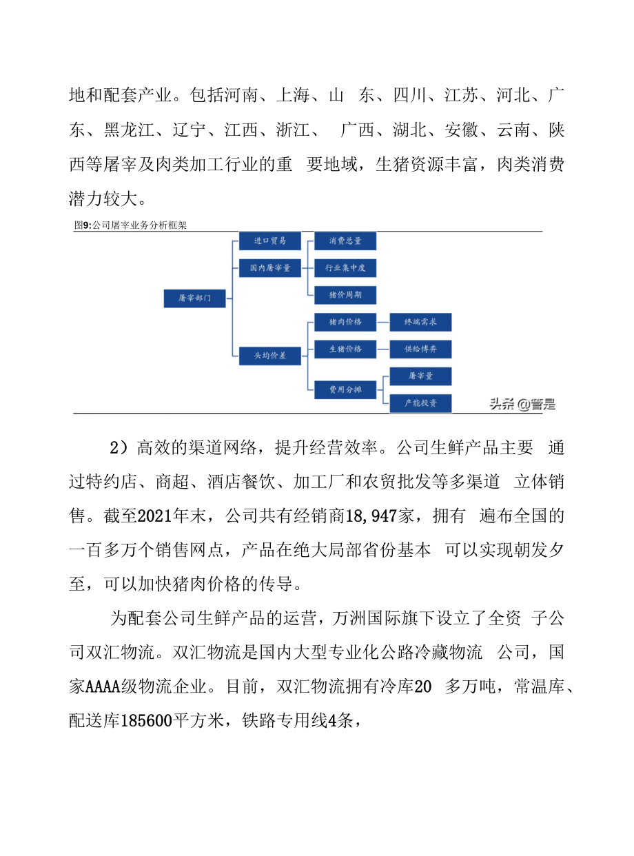 2022年双汇发展产业链及业务布局分析.docx_第2页