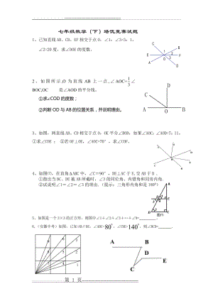 七年级数学(下)培优试题(5页).doc