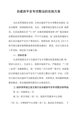 自建房安全专项整治的实施方案.docx