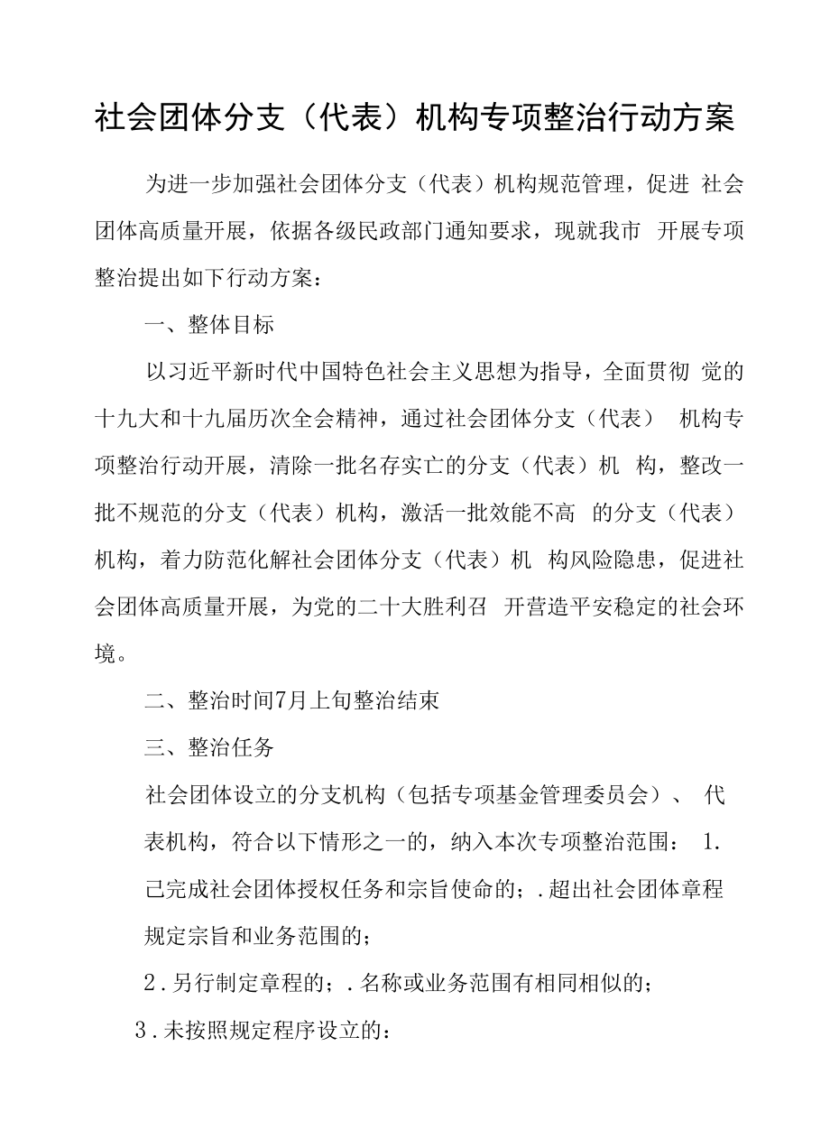 社会团体分支（代表）机构专项整治行动方案.docx_第1页