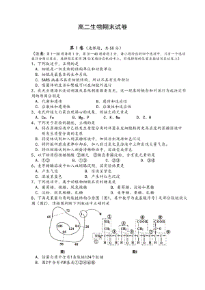 高中生物试卷及答案.doc