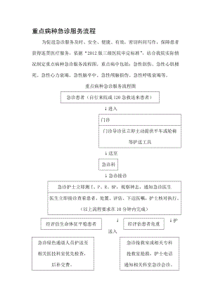 重点病种急诊服务流程全部.doc