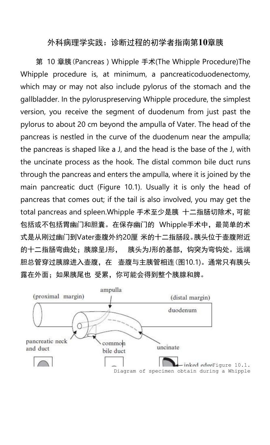 外科病理学实践：诊断过程的初学者指南第10章胰.docx_第1页