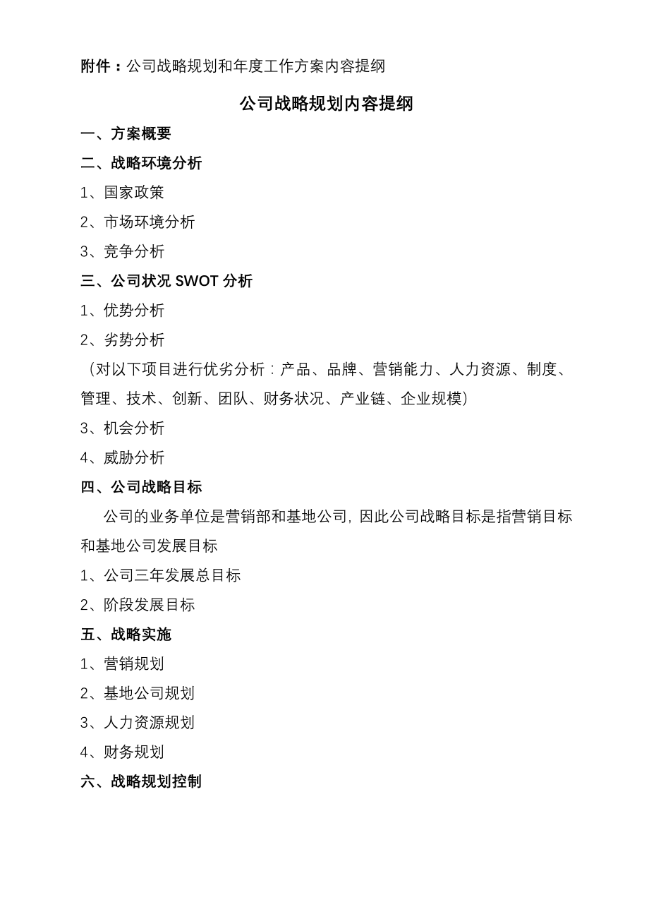 公司战略规划和实施方案内容提纲.doc_第1页