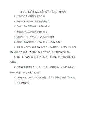 分管工艺质量安全工作领导安全生产责任制.docx