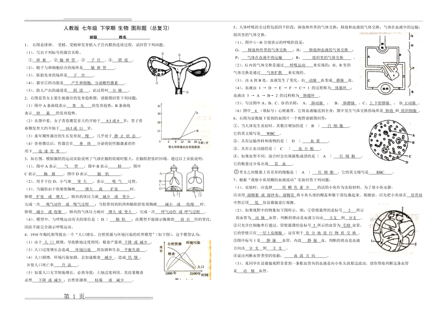 七年级下册生物看图测试题(3页).doc_第1页