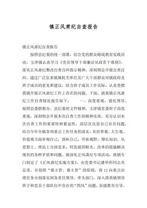 镇正风肃纪自查报告.docx