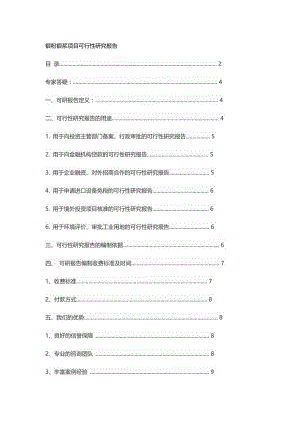 银粉银浆项目可行性研究报告.docx