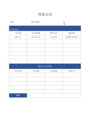 详细周报总结.docx