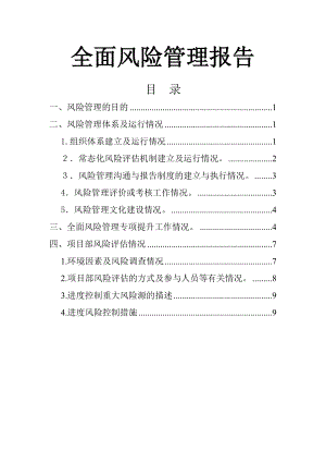 项目部全面风险管理报告总结.doc